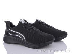 LQD L275-1, 8, 41-46