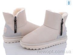 Violeta 197-66 beige, 8, 36-40