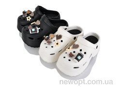 Lion-Lu 8895 mix, 24, 36-41