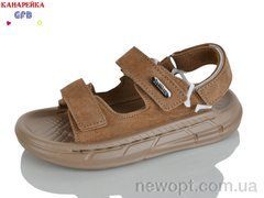 GFB-Канарейка R83-3, 10, 31-36
