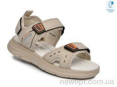 TOM.M F65128F, 8, 33-38