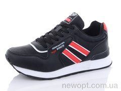 Pet B8963-1, 8, 36-41