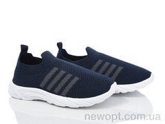 Blue Rama L17-5, 8, 31-38