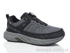 Sen.dini A2877-5, 8, 41-46