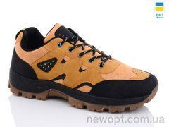 Swin 10027-3, 8, 40-45