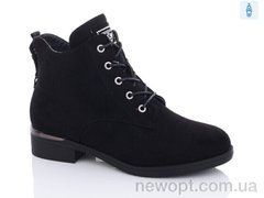Xifa 95-3C, 6, 36-41