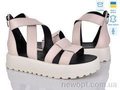 A.N.I.One 4071-99, 6, 36-40