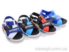 Sydney 1598 mix, 36, 24-29