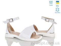 Ailinda 462-8, 6, 36-40