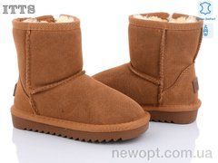 ITTS 7805-20, 6, 26-31