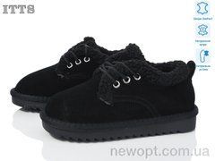 ITTS 7831, 6, 32-37