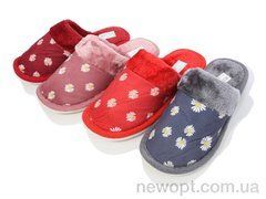 SANLIN 2 EM28 mix, 12, 36-41
