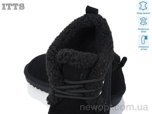 ITTS 7831, 6, 32-37