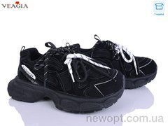Veagia-ADA N67-1, 8, 36-41