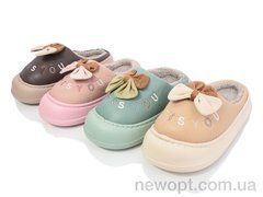 SANLIN 2 Y8 mix, 12, 36-41