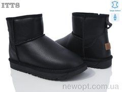 ITTS GG8854A, 6, 41-43