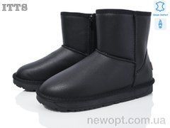 ITTS GG8825A, 6, 41-43