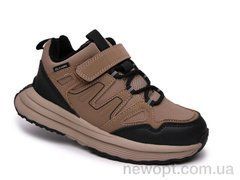 TOM.M T68140C, 8, 33-38