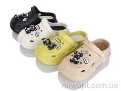 Lion-Lu 8893 mix, 24, 36-41