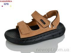 GFB-Канарейка R83-4, 10, 31-36