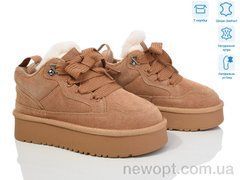 Violeta M6131-3 camel, 8, 36-40