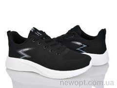 Lion-Lu 2446 black-white, 8, 40-45