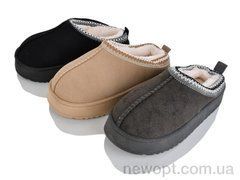 Lion-Lu JNG13 (12) mix, 12, 36-41