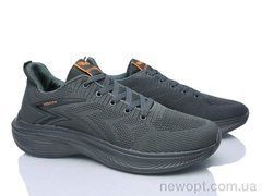 Lion-Lu A2446 grey, 8, 43-47