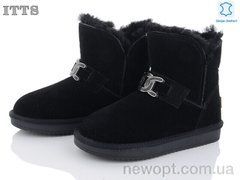 ITTS 5868, 6, 37-41