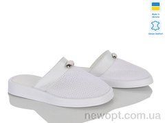 Ailinda 13033-80, 6, 36-40