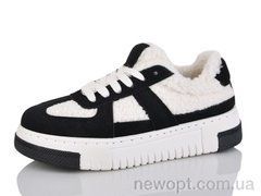 L.B. L1102-3, 8, 36-41