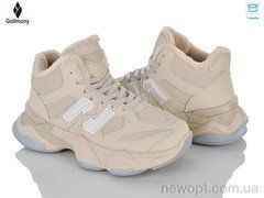 Gollmony 2027-15-5, 8, 36-41