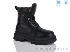 Alimama-Girnaive W261, 8, 36-41
