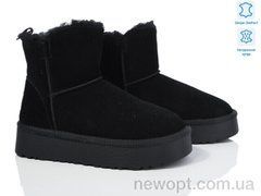 Xifa XF01-3330-1, 8, 36-41