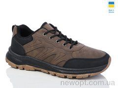 Swin 10617-3, 8, 40-45