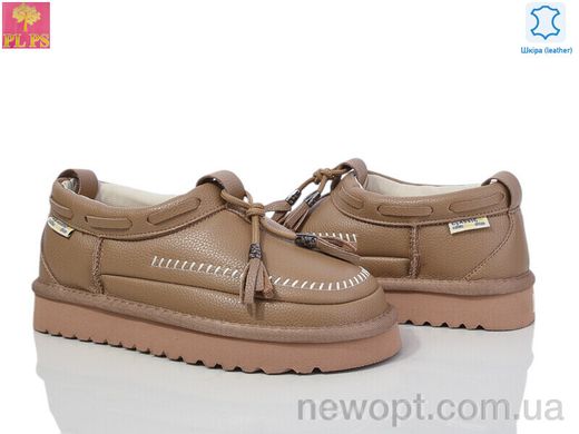 PLPS 5851-1 camel, 6, 36-41