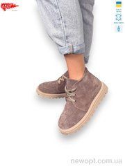 ARTO 503 кофе з., 8, 36-41