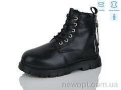 Alimama-Girnaive B115, 8, 32-37