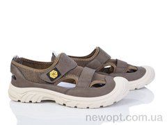 Baolikang Y307 brown, 8, 40-45