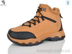Red Sun XJH336, 8, 41-46