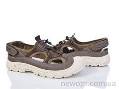 Baolikang Y308 brown, 8, 40-45