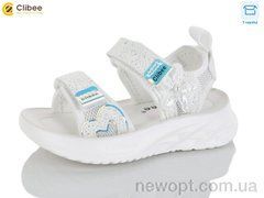 Clibee-Apawwa ZB2331-2, 6, 26-31