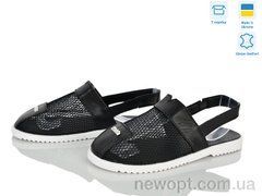Ailinda 0709-20к, 6, 36-40