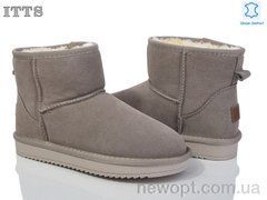 ITTS 5854-17, 6, 36-41