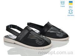 Ailinda 0709-20б, 6, 36-40