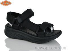 EeBb 1534-1, 8, 36-41