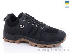 Swin 10029-1, 8, 40-45