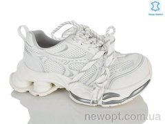 Teetspace-Trasta-Egga WDP2073-26, 6, 36-40
