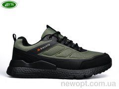 Bayota A1160-5, 8, 41-45