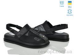 Ailinda 0409-20, 6, 36-40